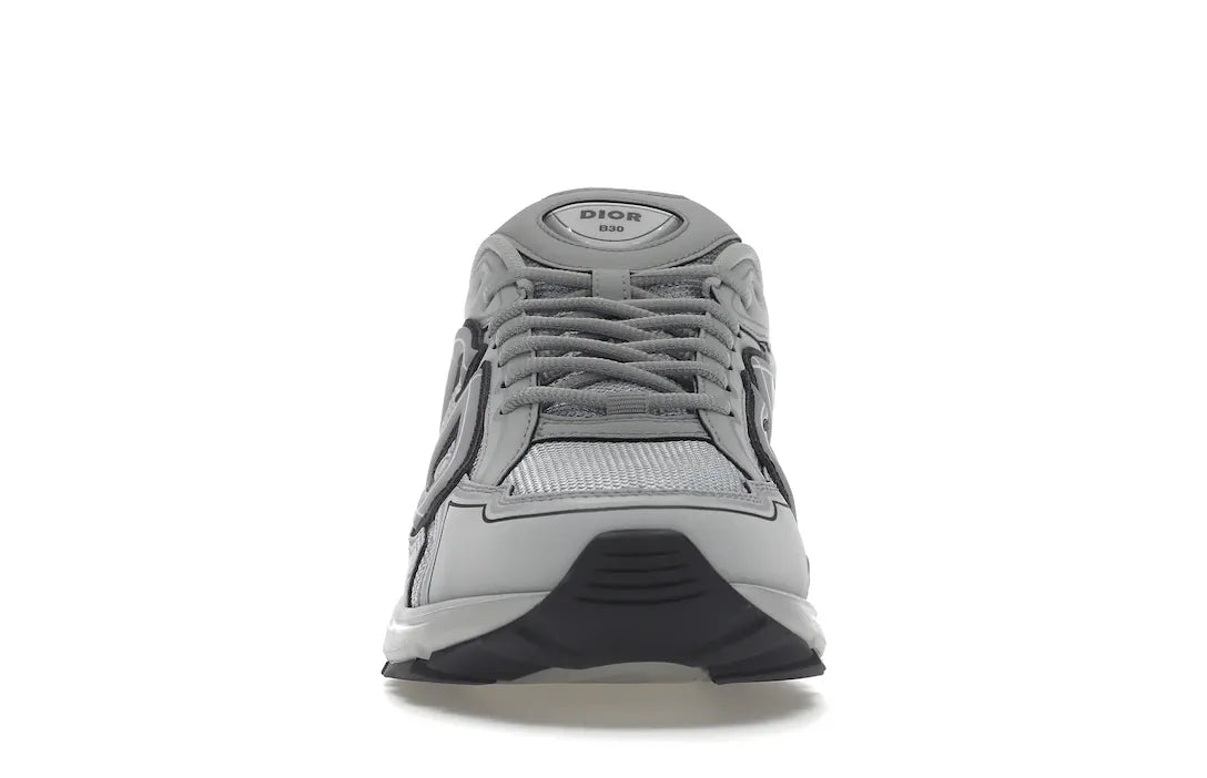Dior B30 Gray